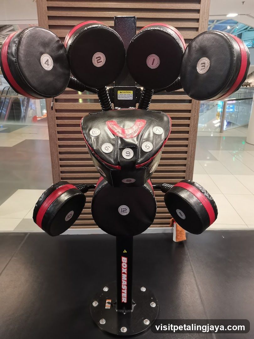 Boxing Training Equipment Display