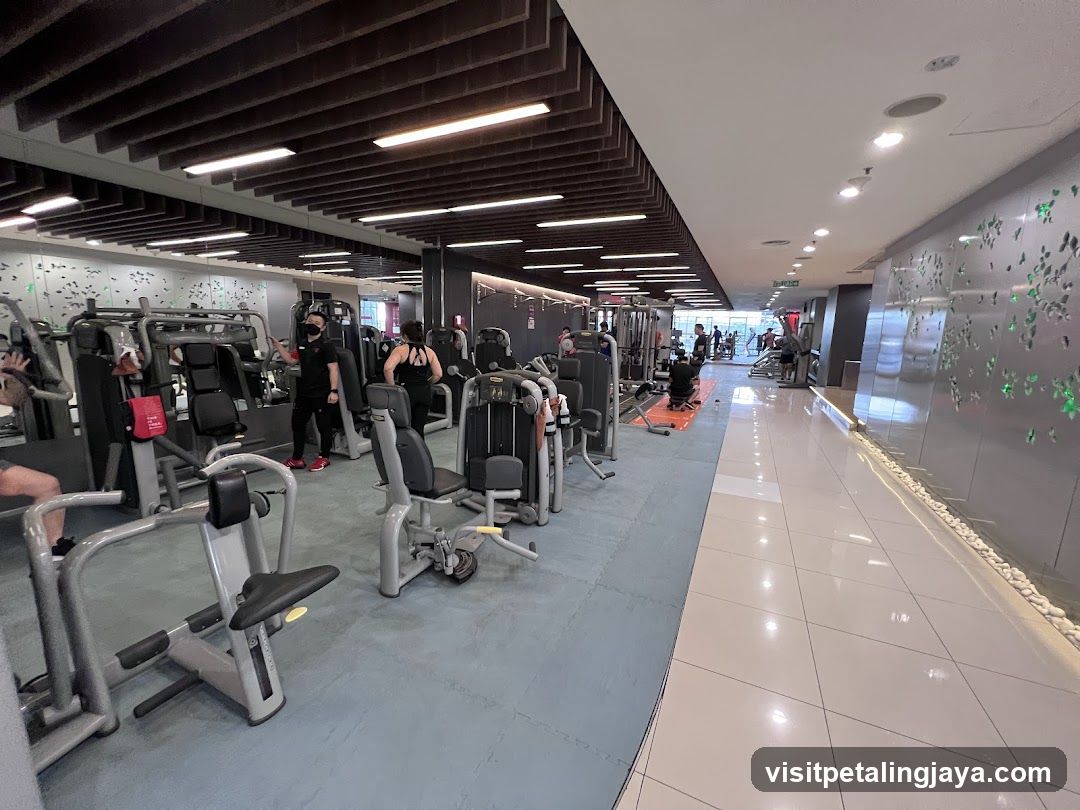Gym Interior with Equipment and Members