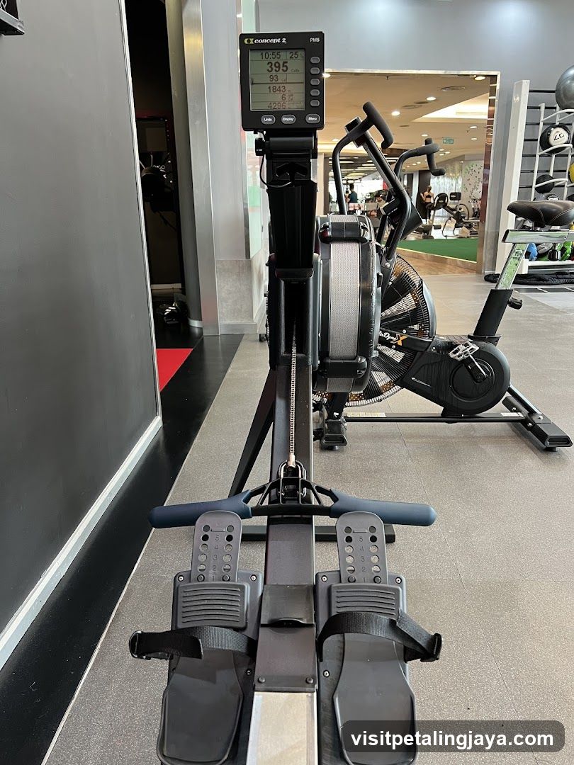 Gym Interior with Rowing Machine
