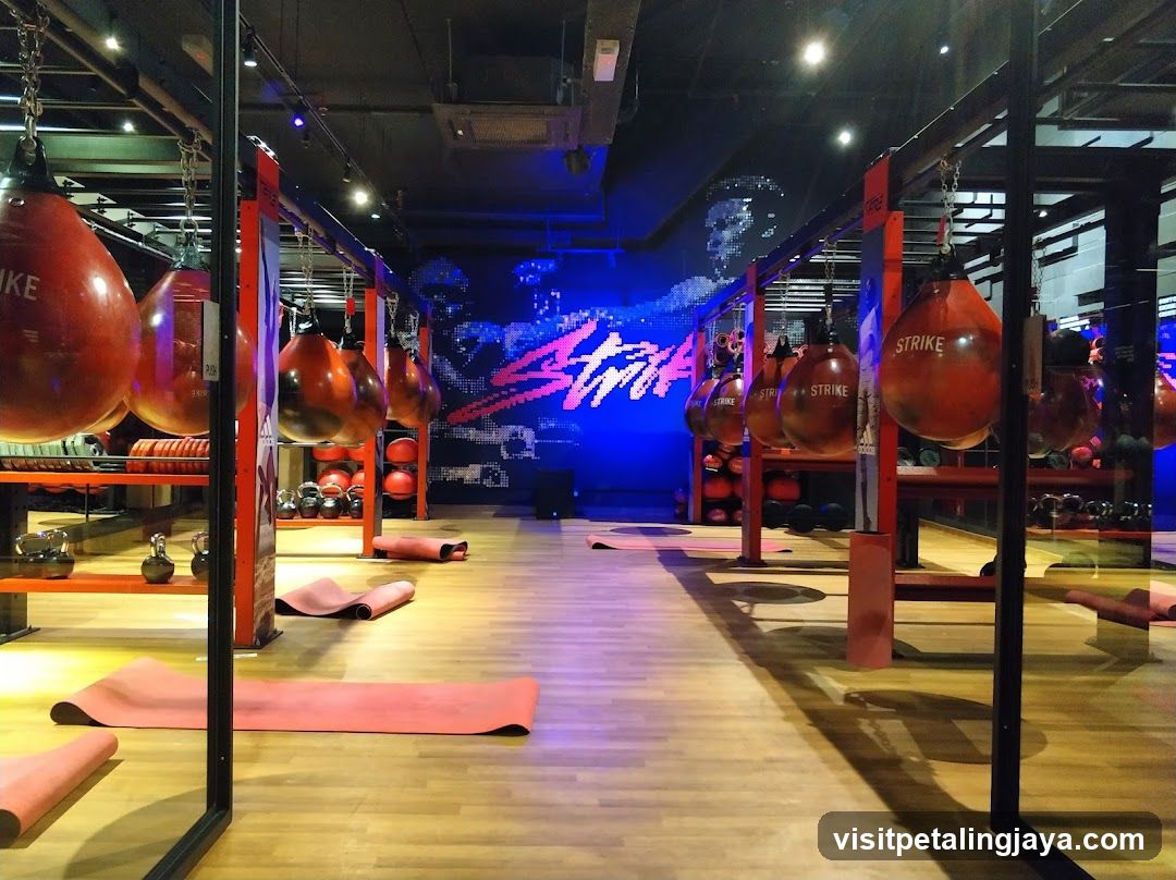 Gym Interior with Punching Bags and Yoga Mats
