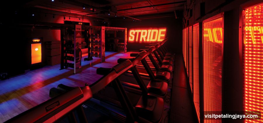 Gym Interior with Treadmills