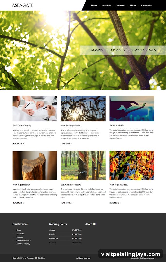 Aseagate Website Landing Page