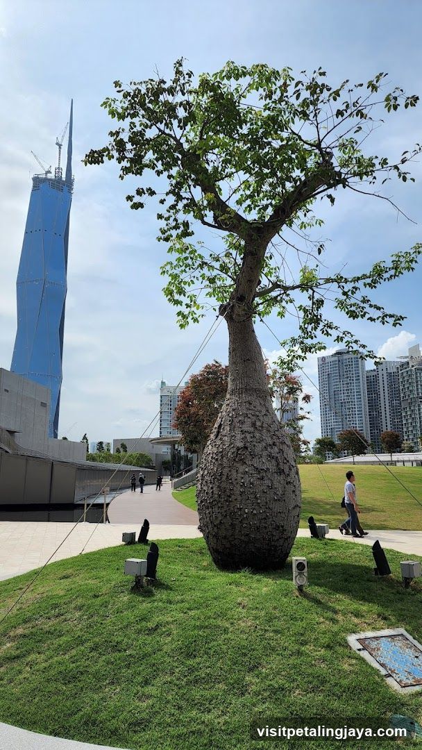 Bottle Tree Sculpture in Urban Park
