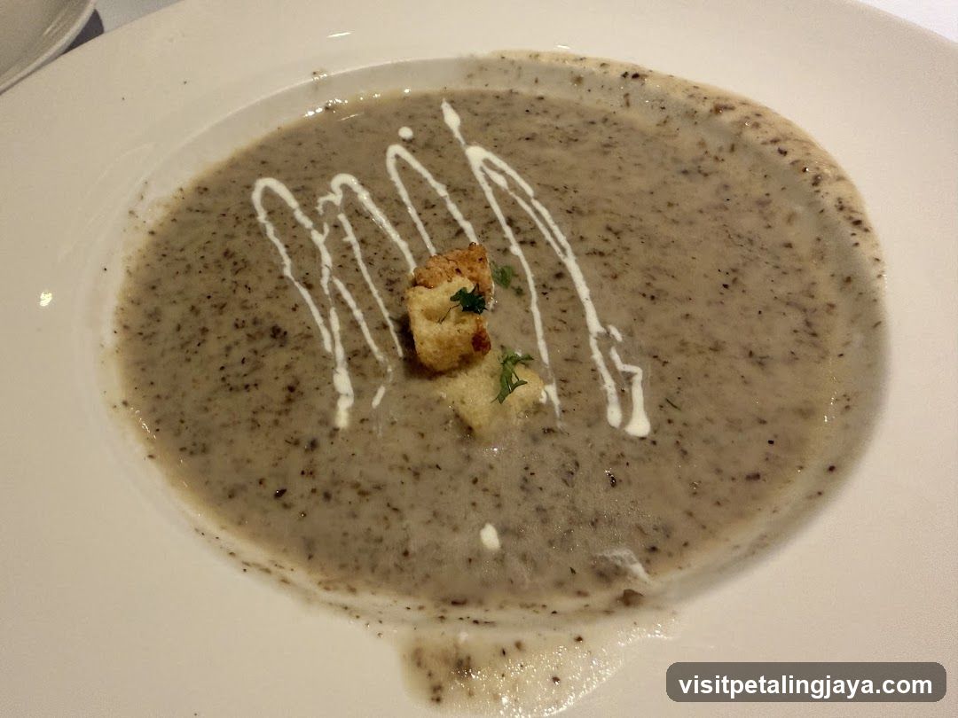 Mushroom Soup with Croutons