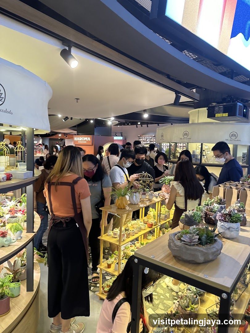 Little Eden Succulents KL Store