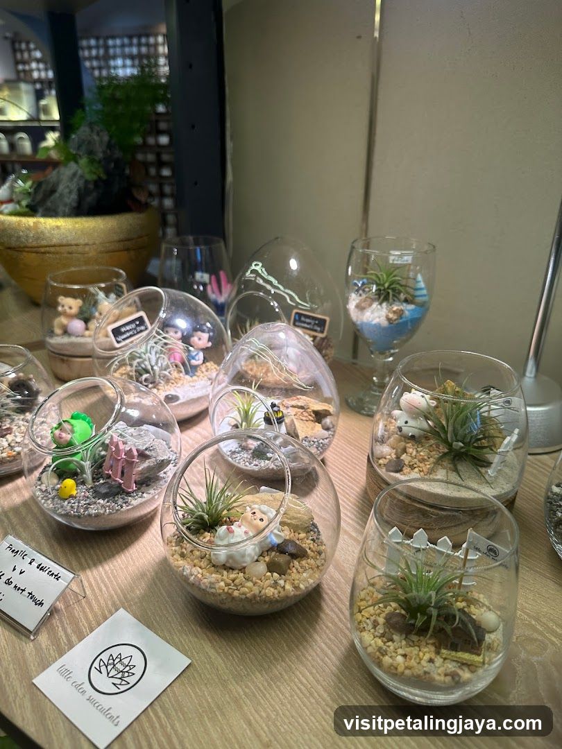 Little Eden Succulents KL Store