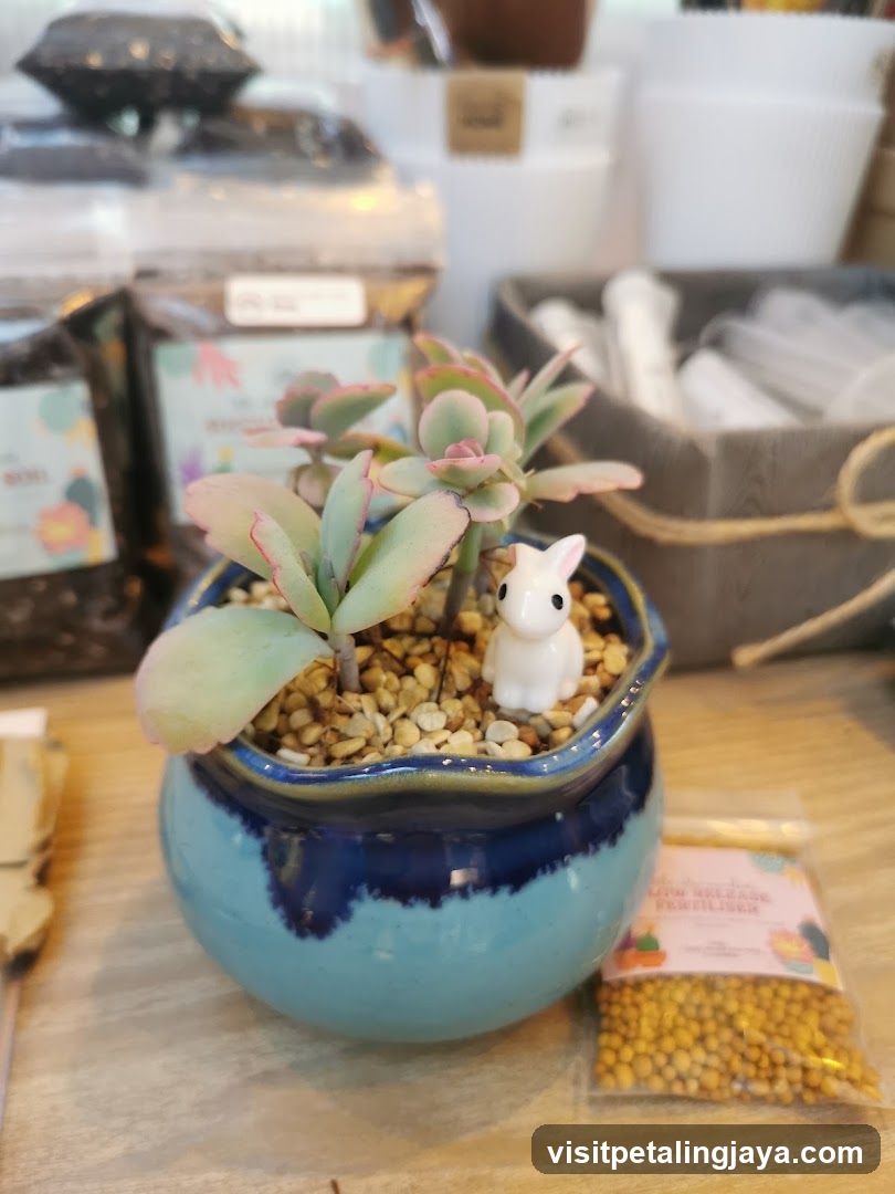 Succulent Plant with Rabbit Ornament