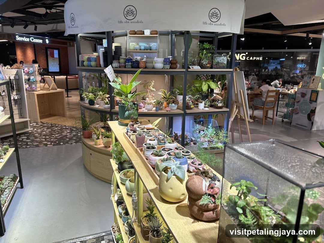 Indoor Plant and Succulent Display