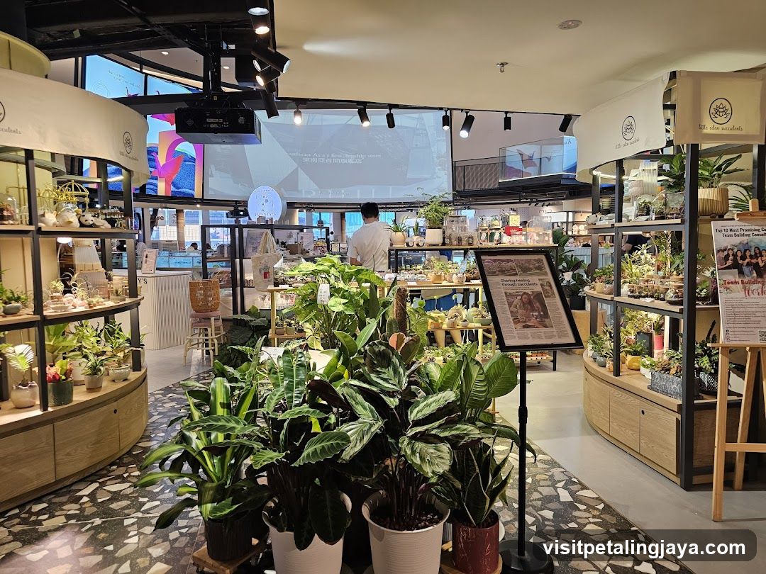 Indoor Plant Shop Interior