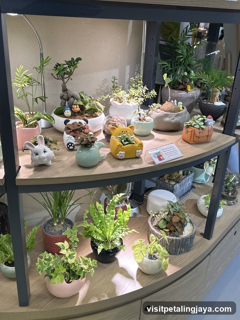 Indoor Plant Display Shelf