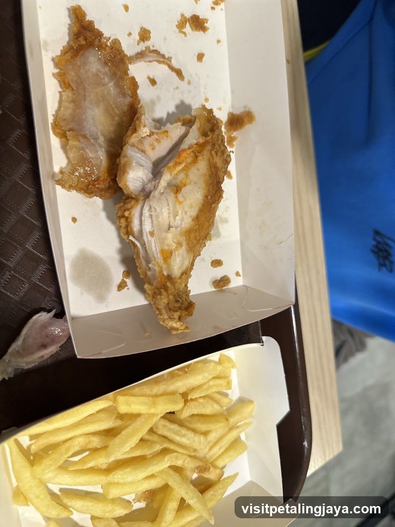 Fried Chicken and Fries Meal