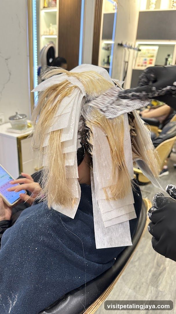 Hair Coloring Process in Salon