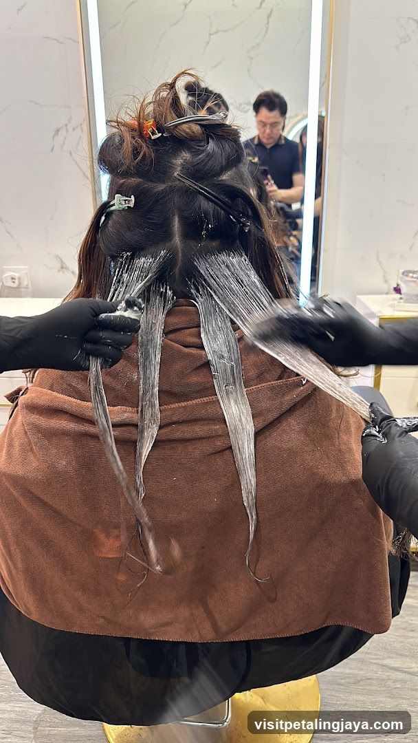 Hair Coloring Process in Salon