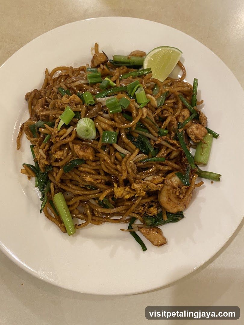 Stir-fried noodles with chicken and green onions