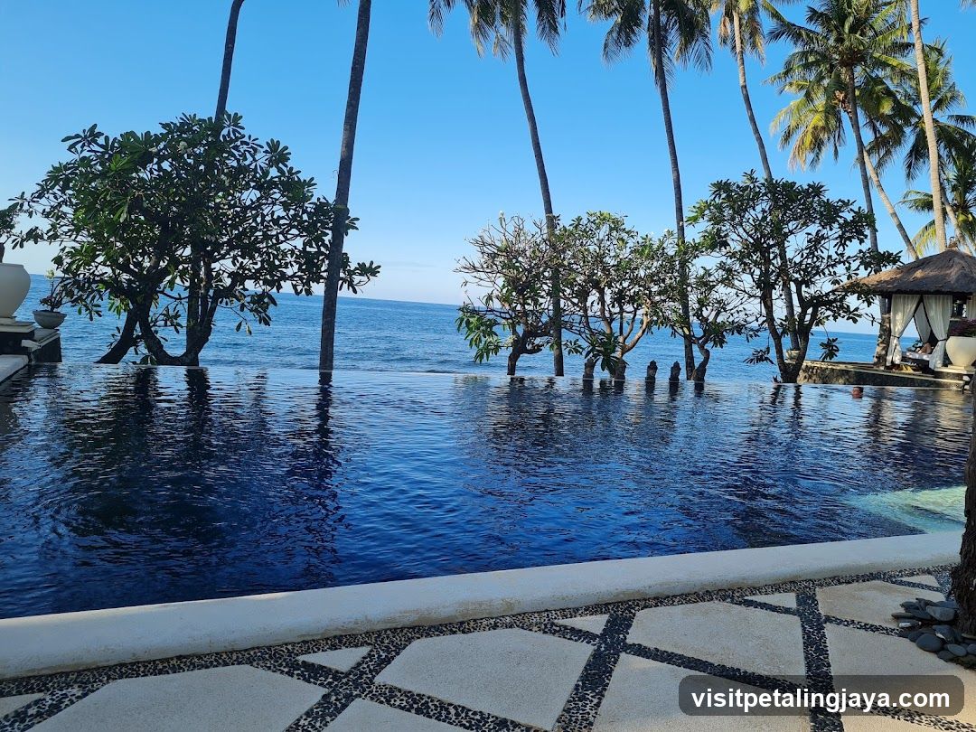 Infinity Pool by the Sea