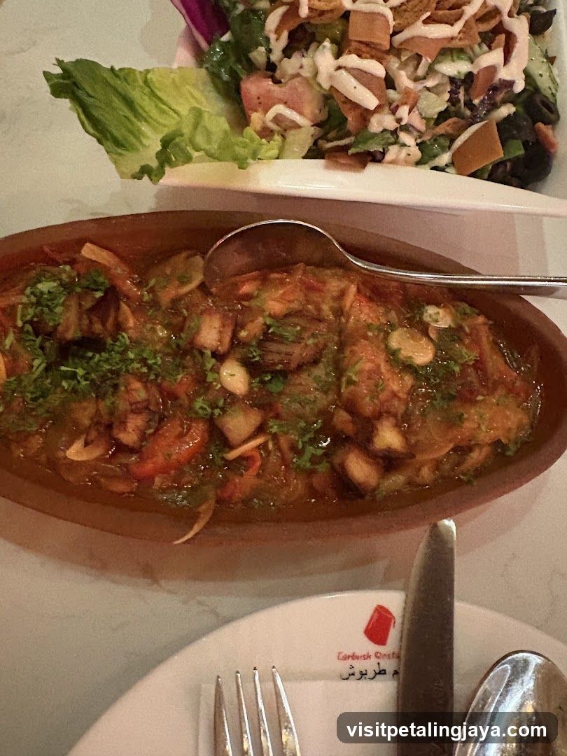 Dish with Salad