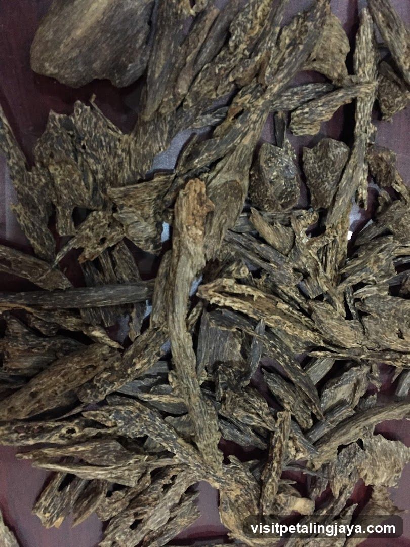 Dried Wood Pieces