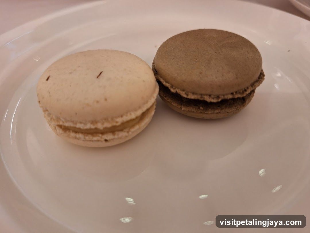 Macarons on a Plate