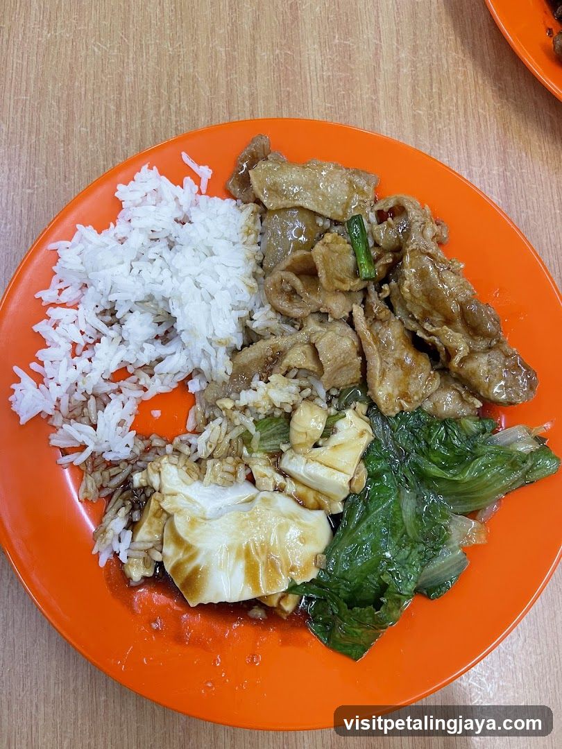 Plate of Rice with Meat and Vegetables