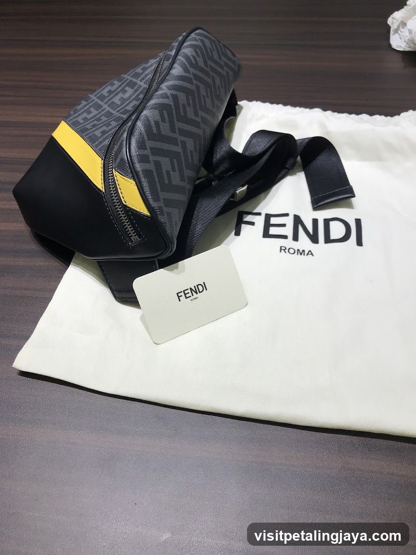 Fendi Bag on Dust Bag
