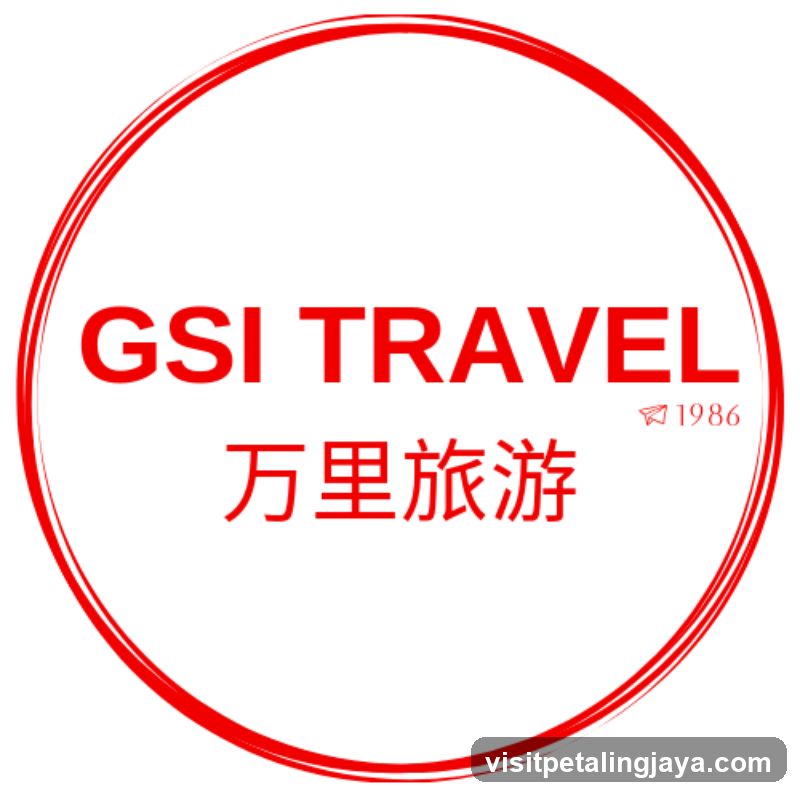 GSI TRAVEL logo