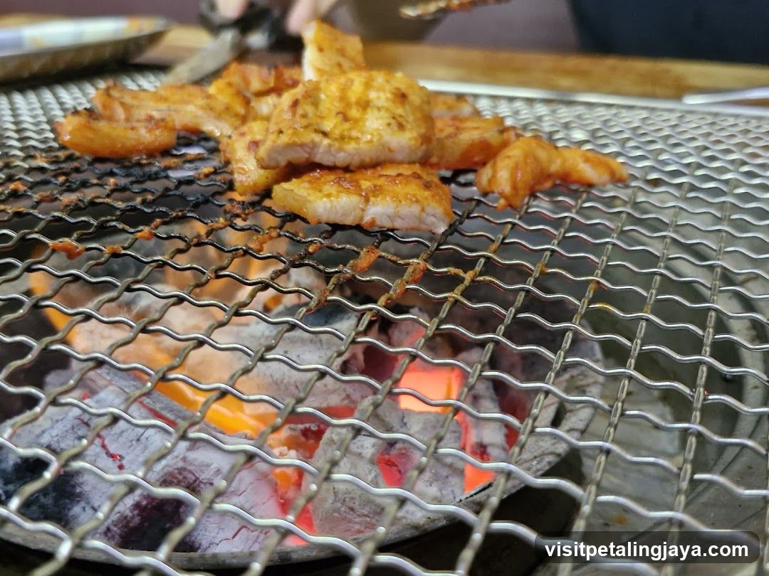 Grilled Meat on Charcoal Grill