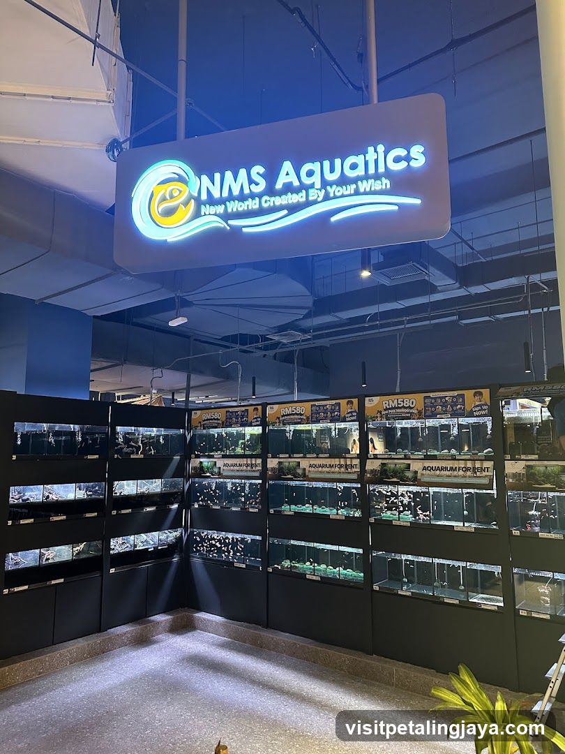 NMS Aquatics