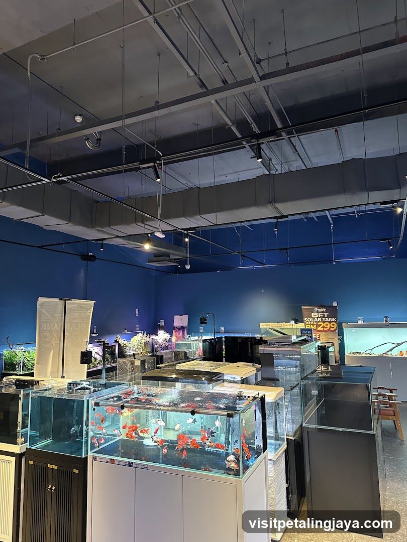 Aquarium Store Interior