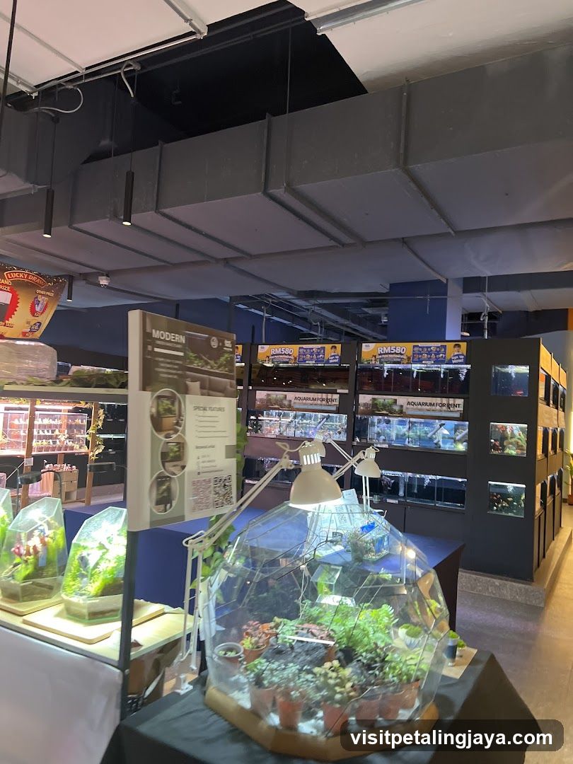 Indoor Aquarium and Terrarium Display