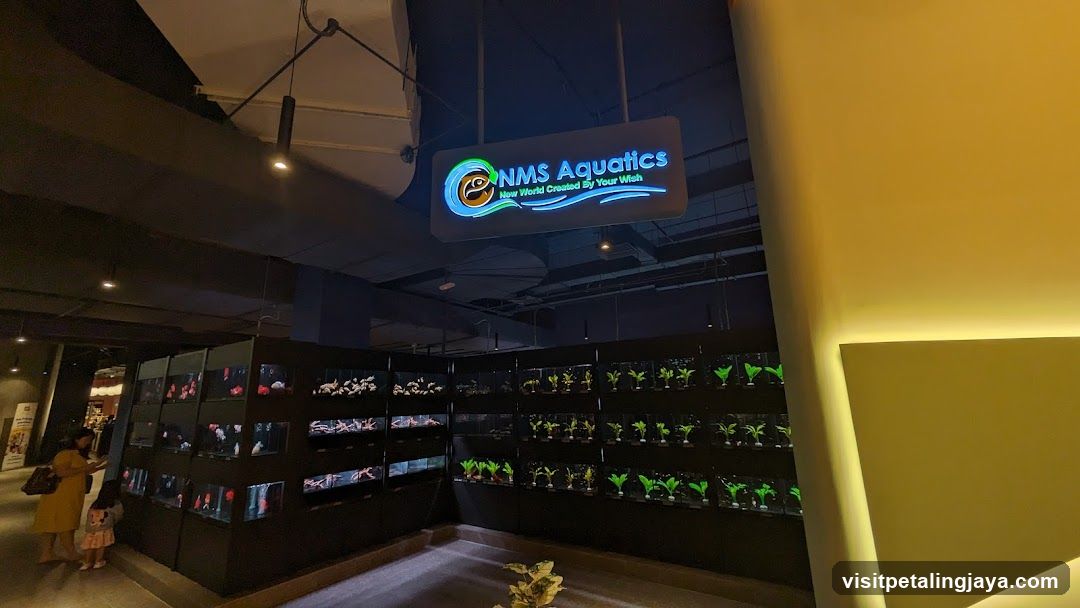NMS Aquatics Interior View