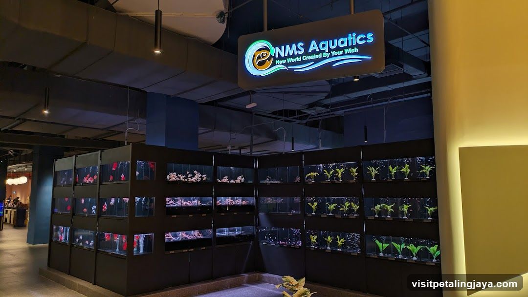 NMS Aquatics Interior Display