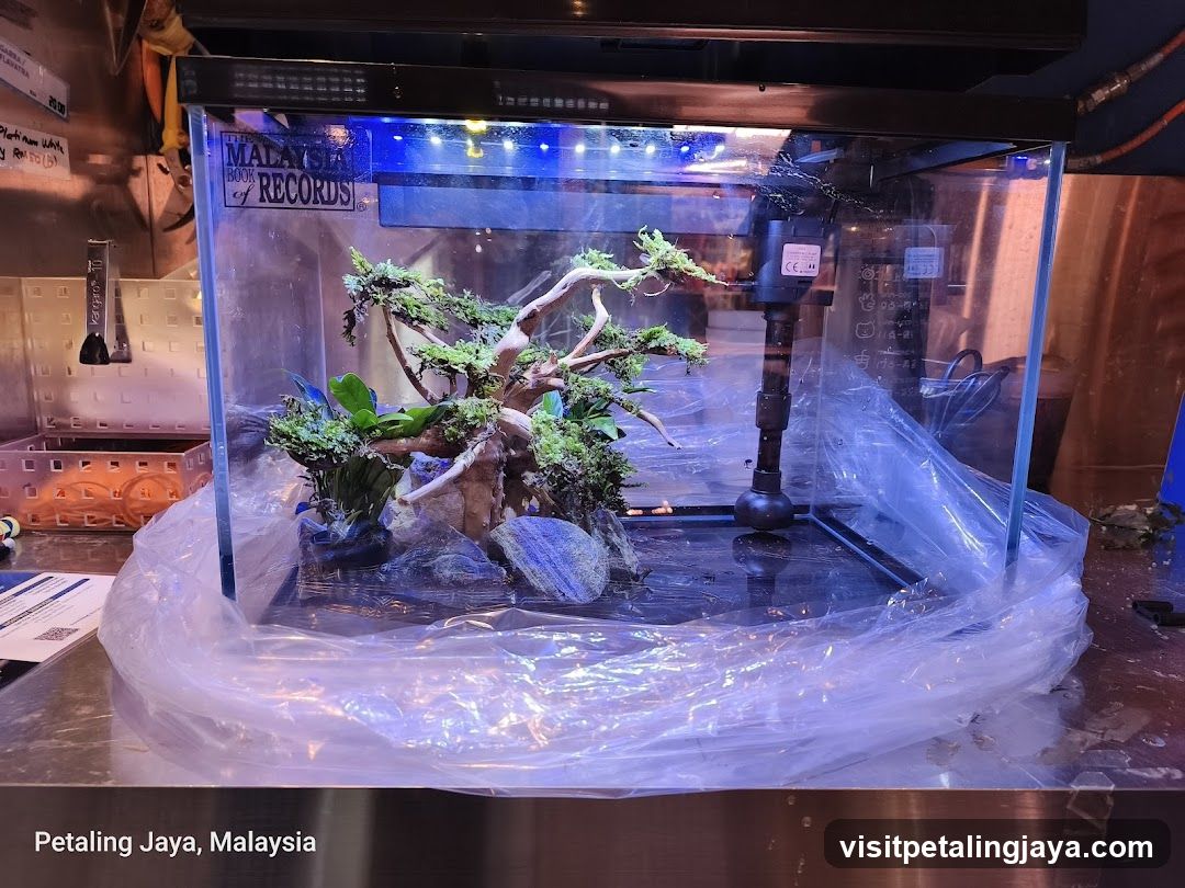 Terrarium Display in Shop Interior