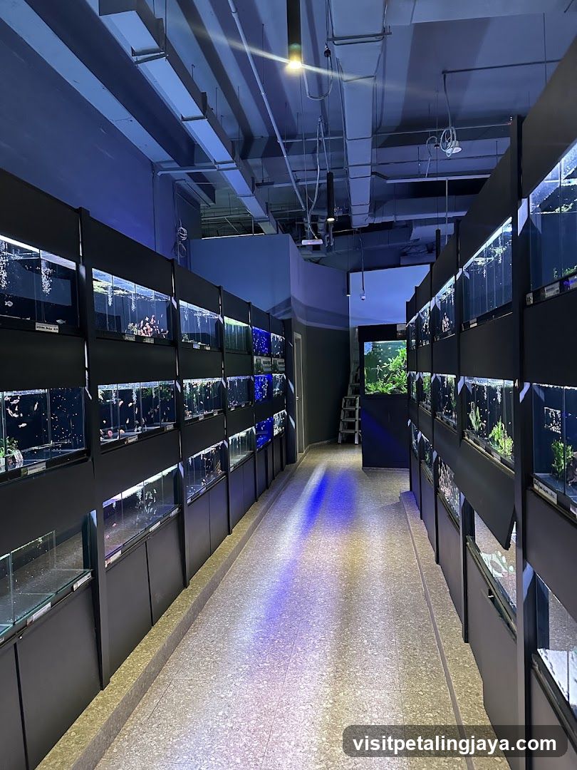 Aquarium Interior
