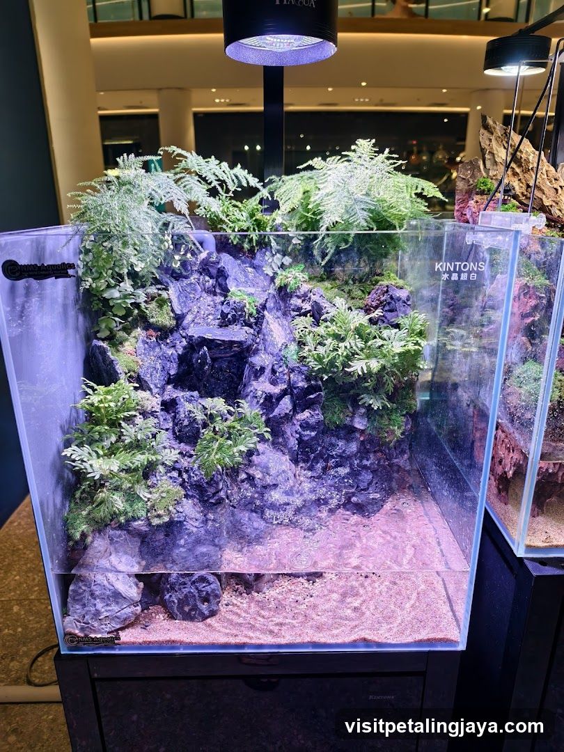 Kintons Aquarium Display