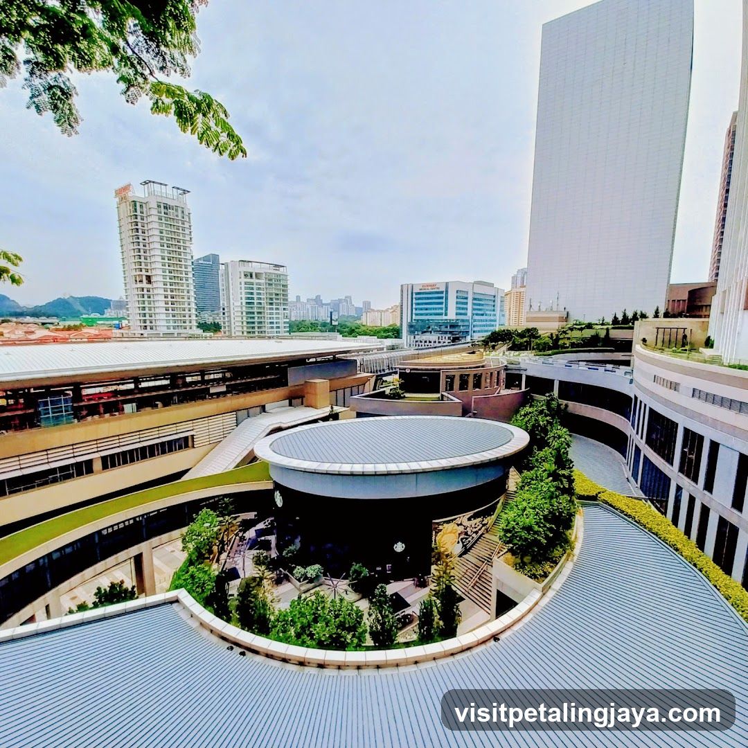 Urban Rooftop View with Modern Architecture