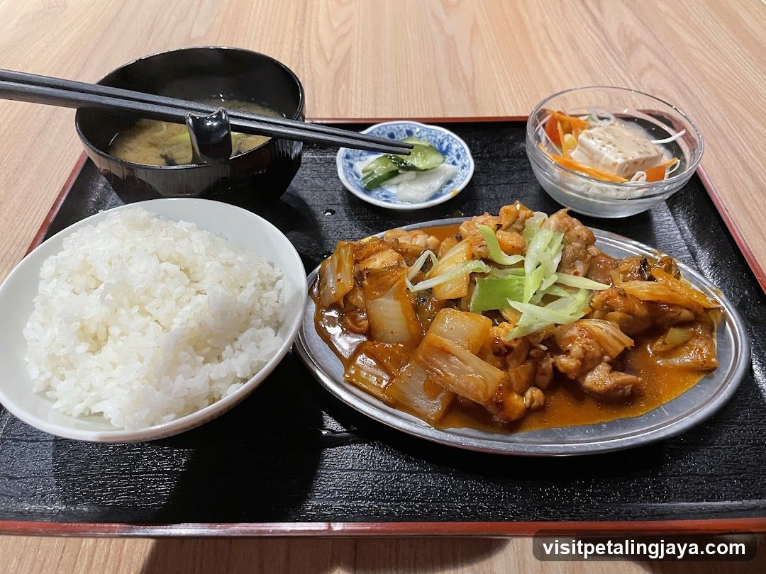 Japanese Meal Tray