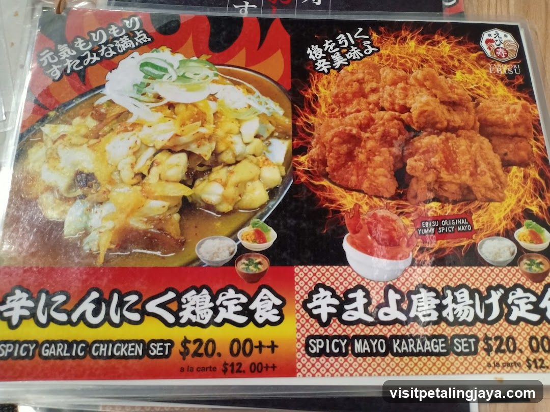 Spicy Garlic Chicken and Spicy Mayo Karaage Set Menu