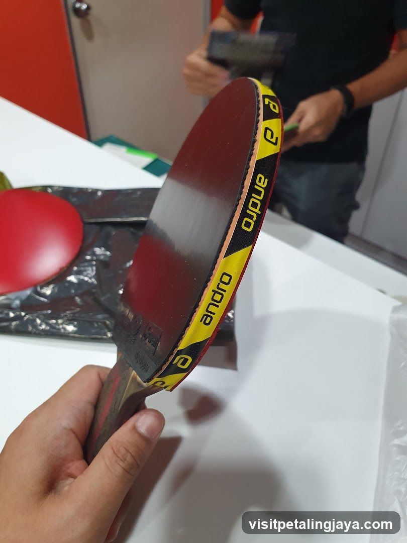 Table Tennis Paddle Display