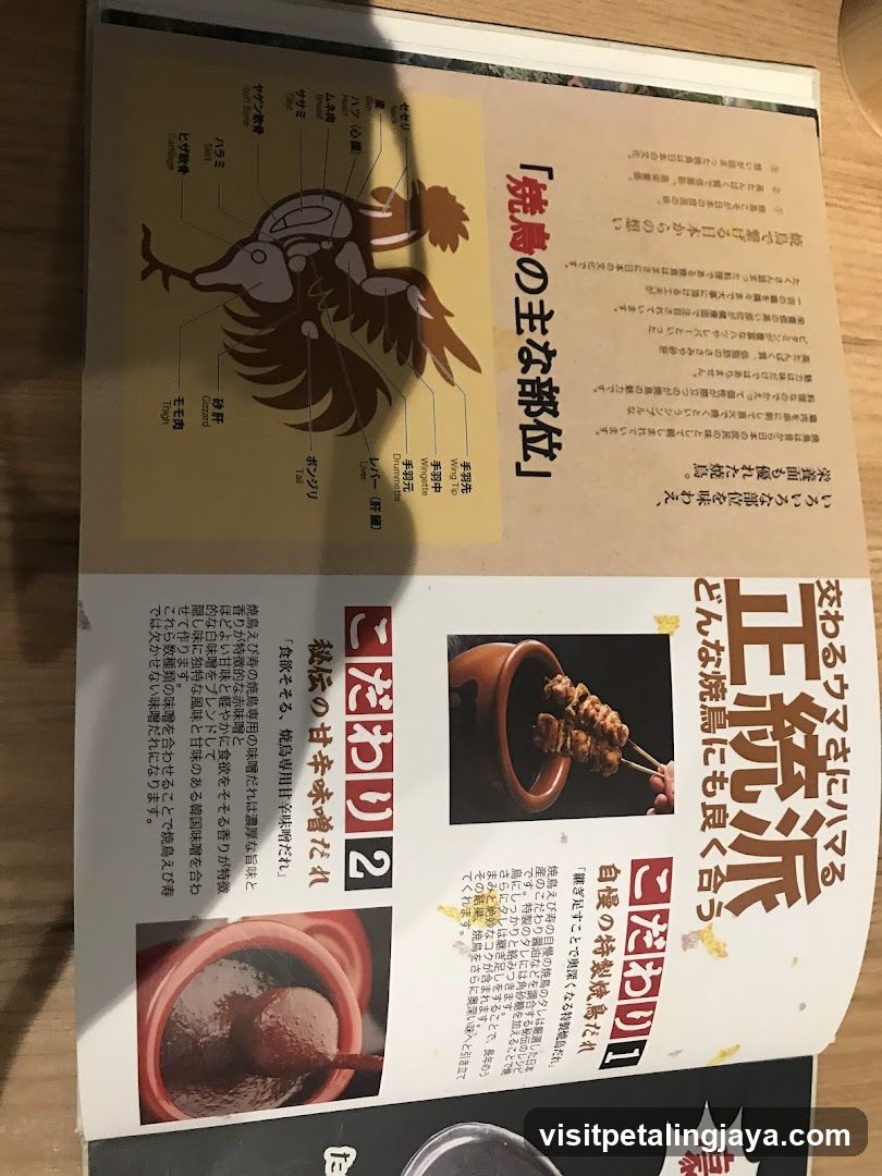 Japanese food advertisement flyer