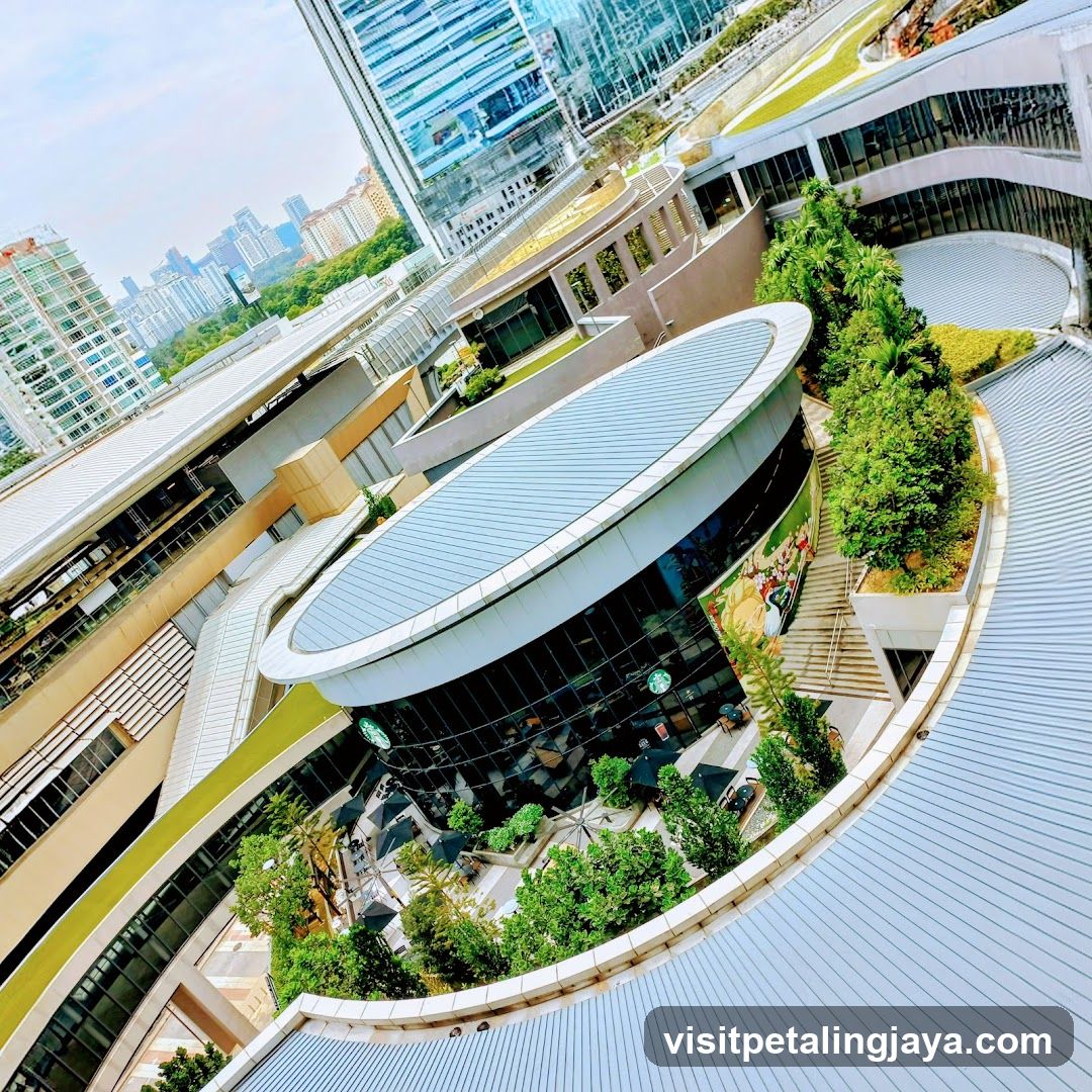 Urban Rooftop View with Starbucks
