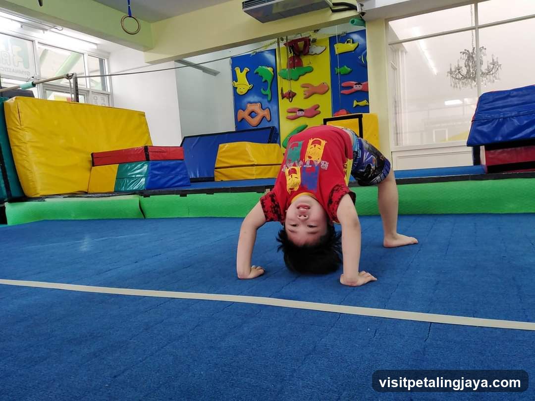 Flipper Roo Gymnastics Training Centre