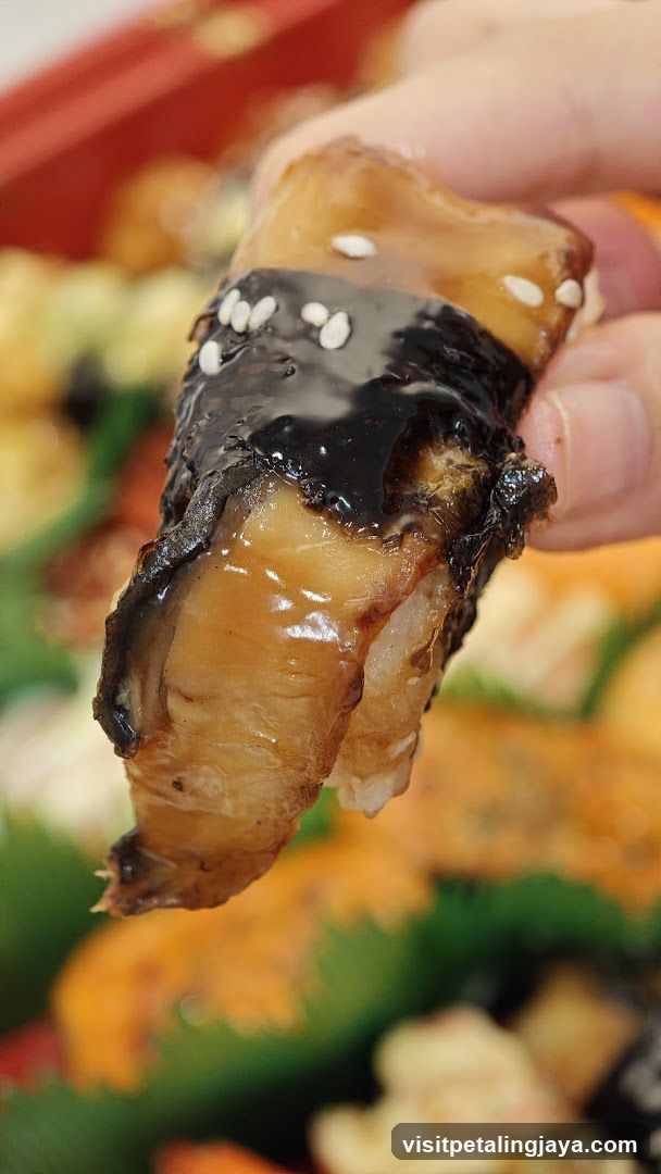 Eel Sushi Close-up