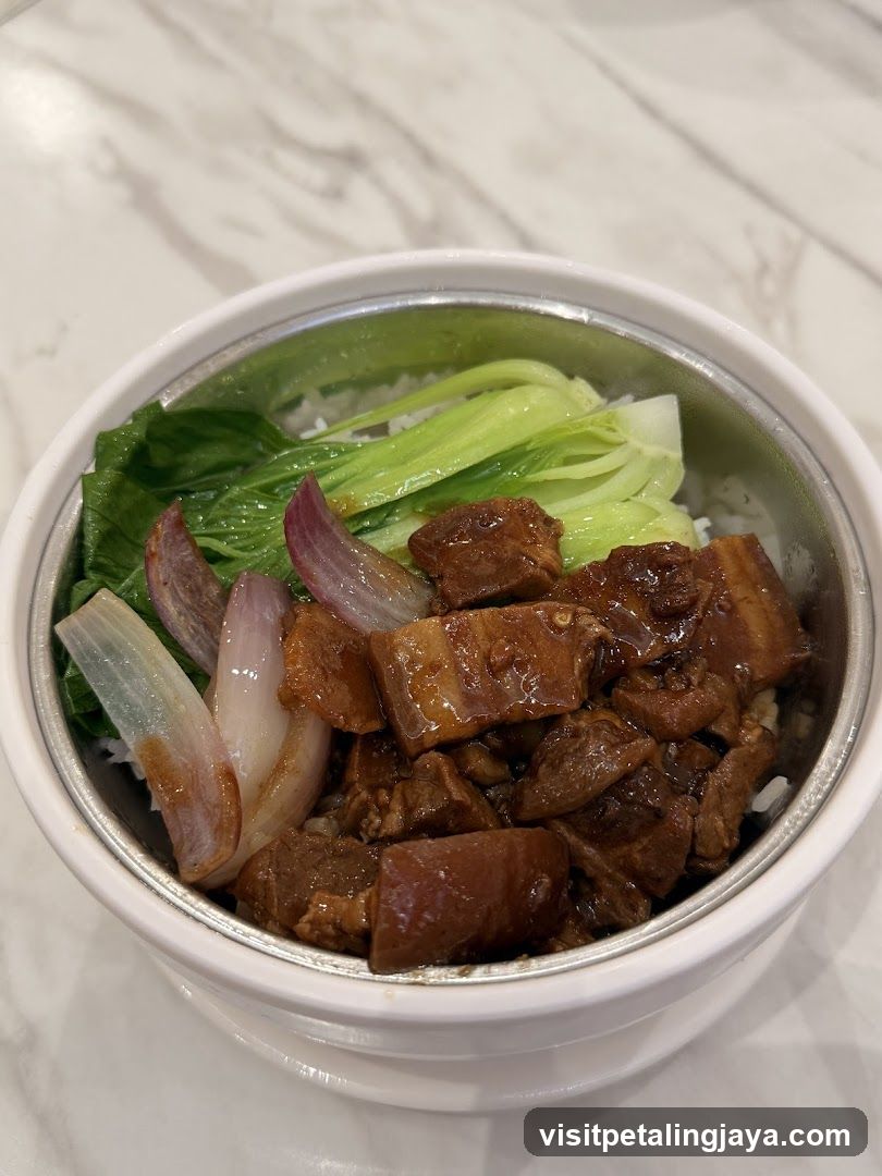 Braised Pork Rice Bowl