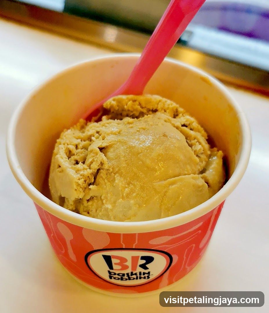 Baskin Robbins Ice Cream Cup