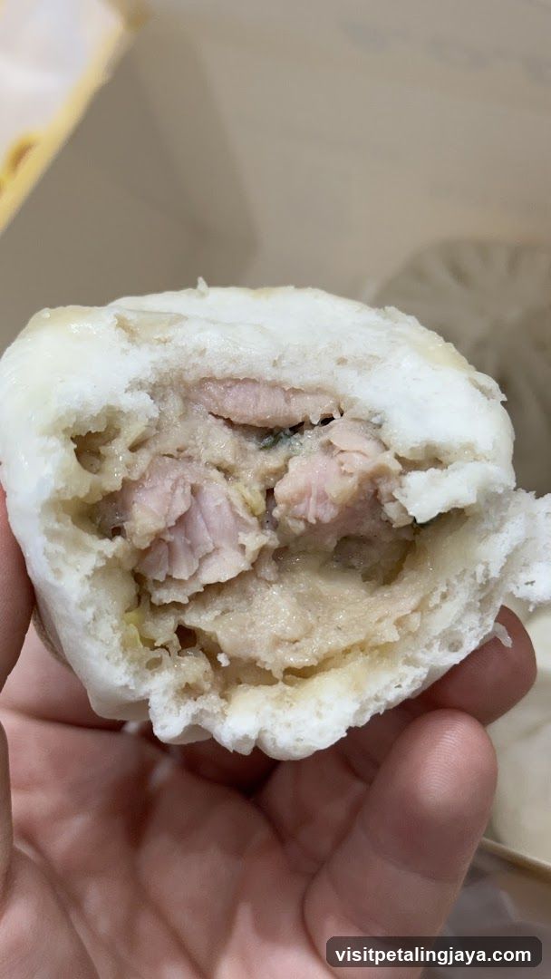 Handheld Steamed Bun with Meat Filling