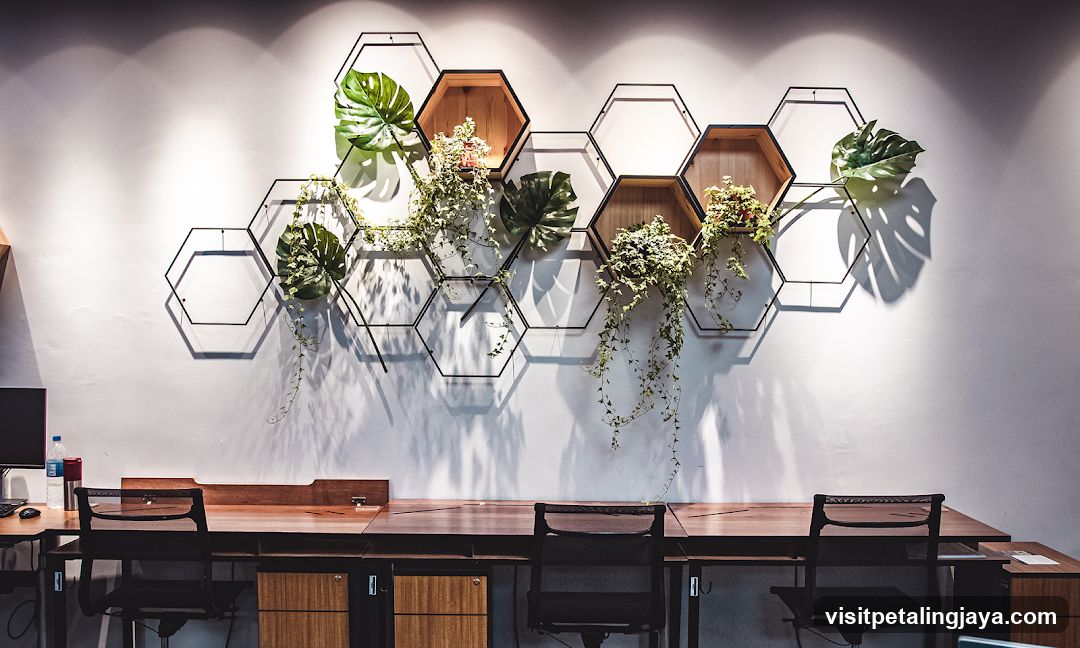 Office Interior with Hexagonal Plant Wall Art
