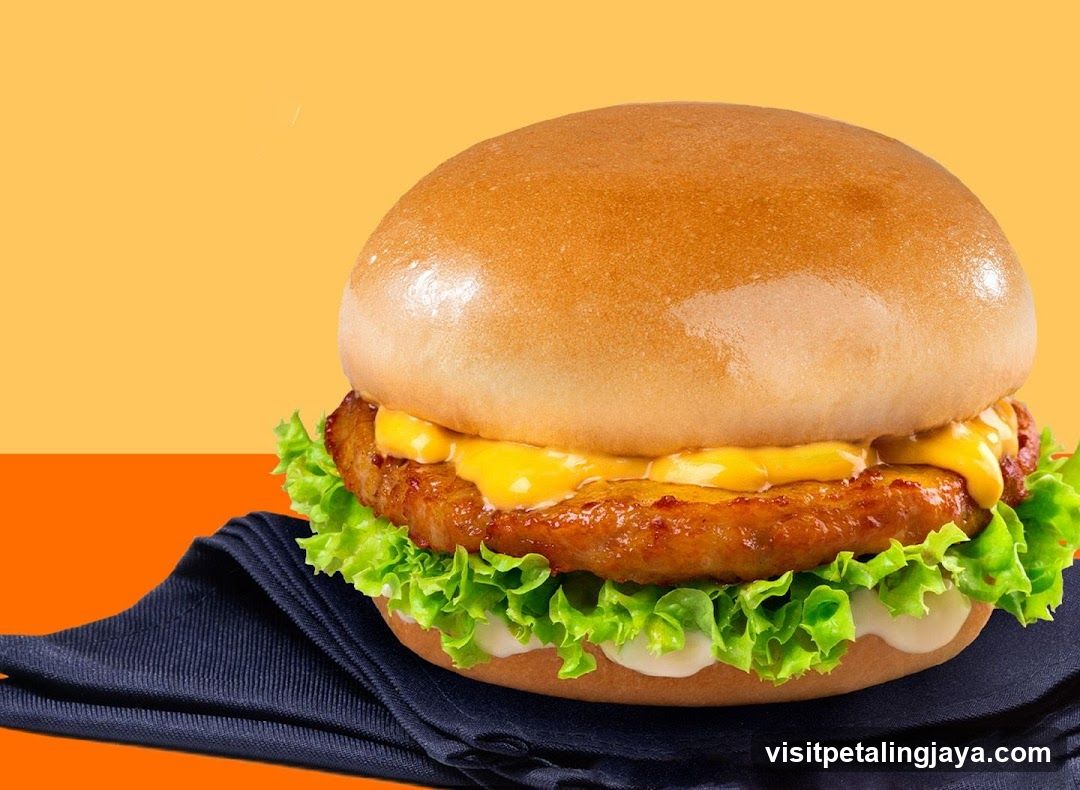 Burger Product Photo