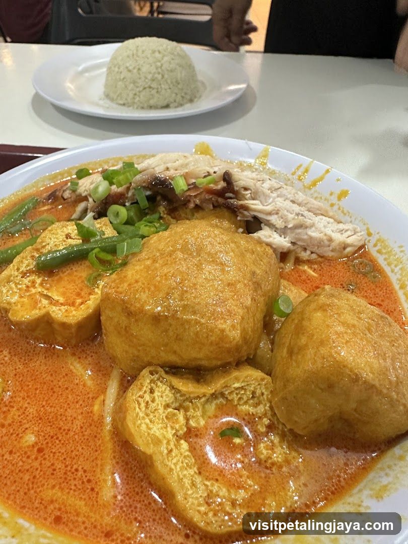 Laksa with Rice