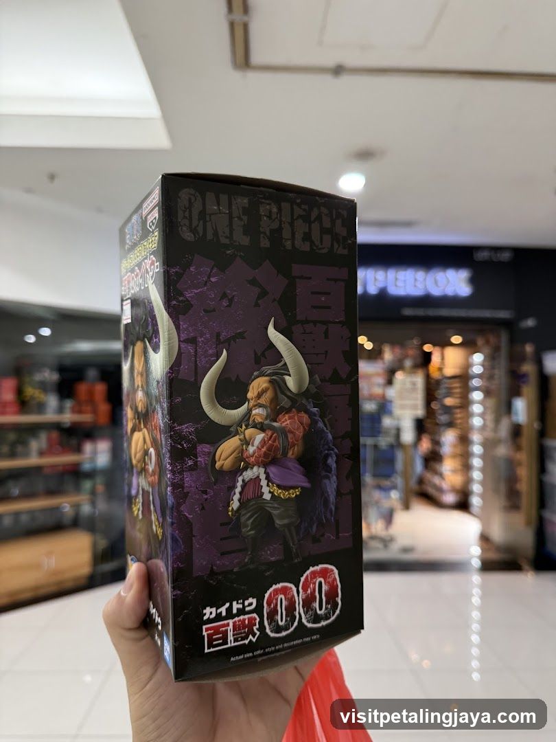 One Piece Figure Box in Mall