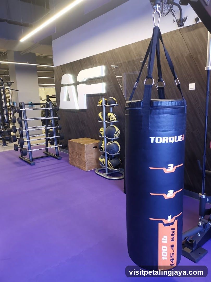 Gym Interior with Punching Bag and Equipment